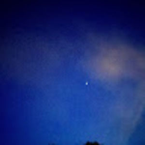 Meet your Posher, Elsa